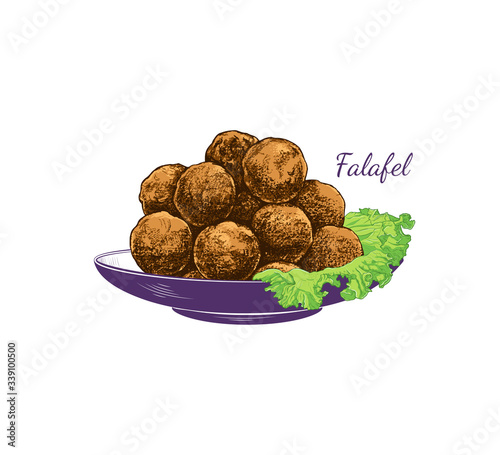 .Color sketch of falafel. Falafel with a leaf of lettuce on a plate. Vector illustration of Middle Eastern cuisine.