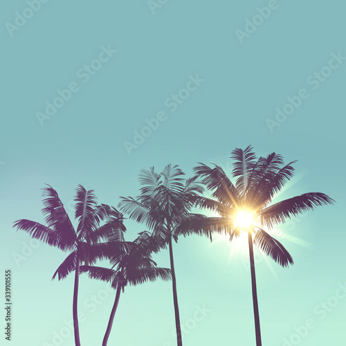 Fototapeta Naklejka Na Ścianę i Meble -  Tropical palm tree silhouette against bright sunlight. 3d rendering