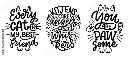 Set with funny lettering quotes about cats for print in hand drawn style. Creative typography slogans design for posters. Cartoon vector illustration.