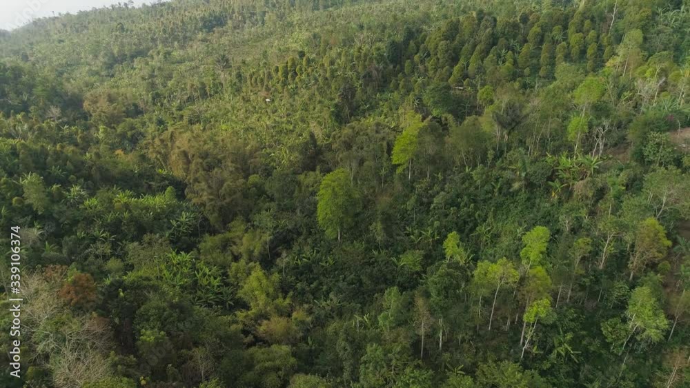 tropical forest on mountain slopes. aerial view rainforest in Indonesia. tropical forest with green, lush vegetation. aerial footage tropical forest on mountain slopes. aerial view rainforest in Indonesia. tropical forest with green, lush vegetation. aerial footage