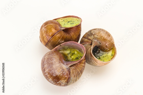 French cuisine - Escargot with sauce