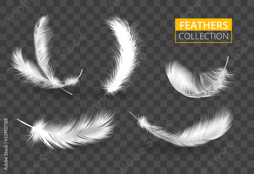 Vector transparent set of isolated falling white fluffy twirl feathers. Realistic style vector illustration