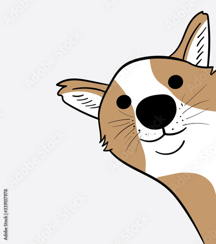 Cute Corgi dogs are playing hide and seek with the owner.Doodle art concept,illustration painting