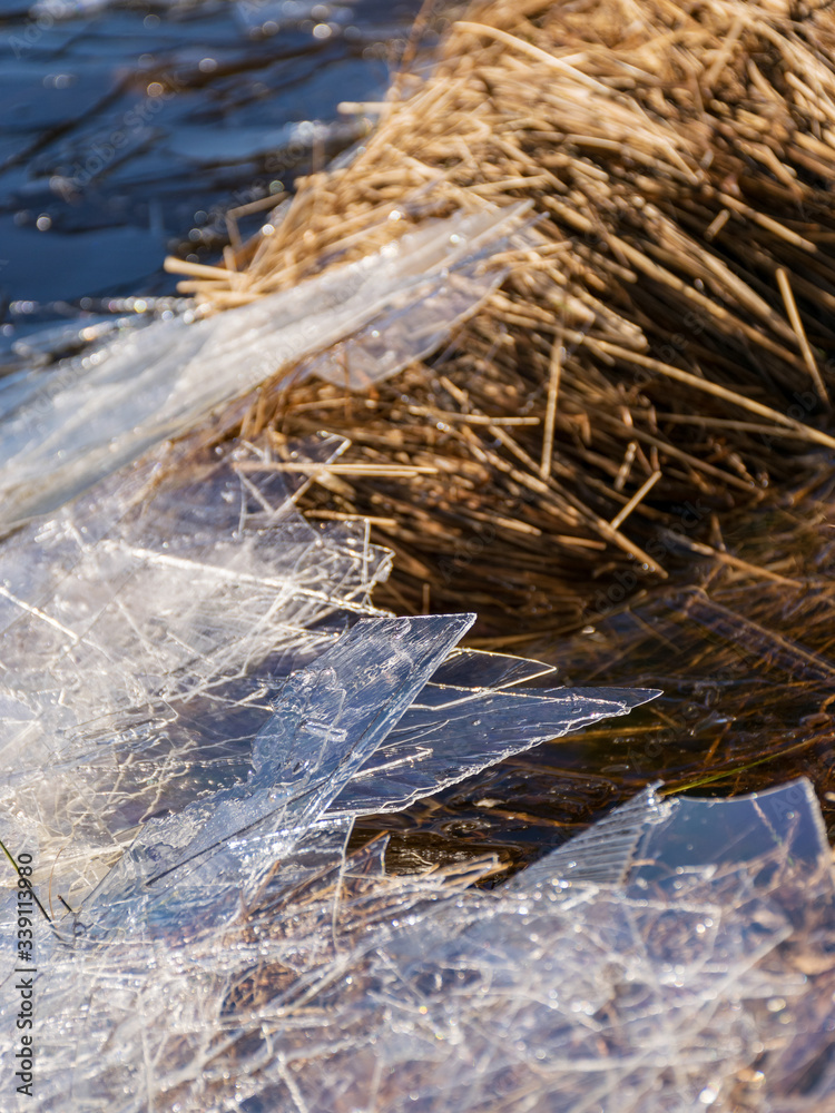 abstract background with dry grass, thin ice and water textures abstract background with dry grass, thin ice and water textures