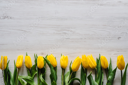 Row of yellow tulips on white rustic wooden background with space for message. Concept Hello Spring flowers. Holiday greeting card for Valentine s  Women s  Mother s Day  Easter  Top view  flat lay.