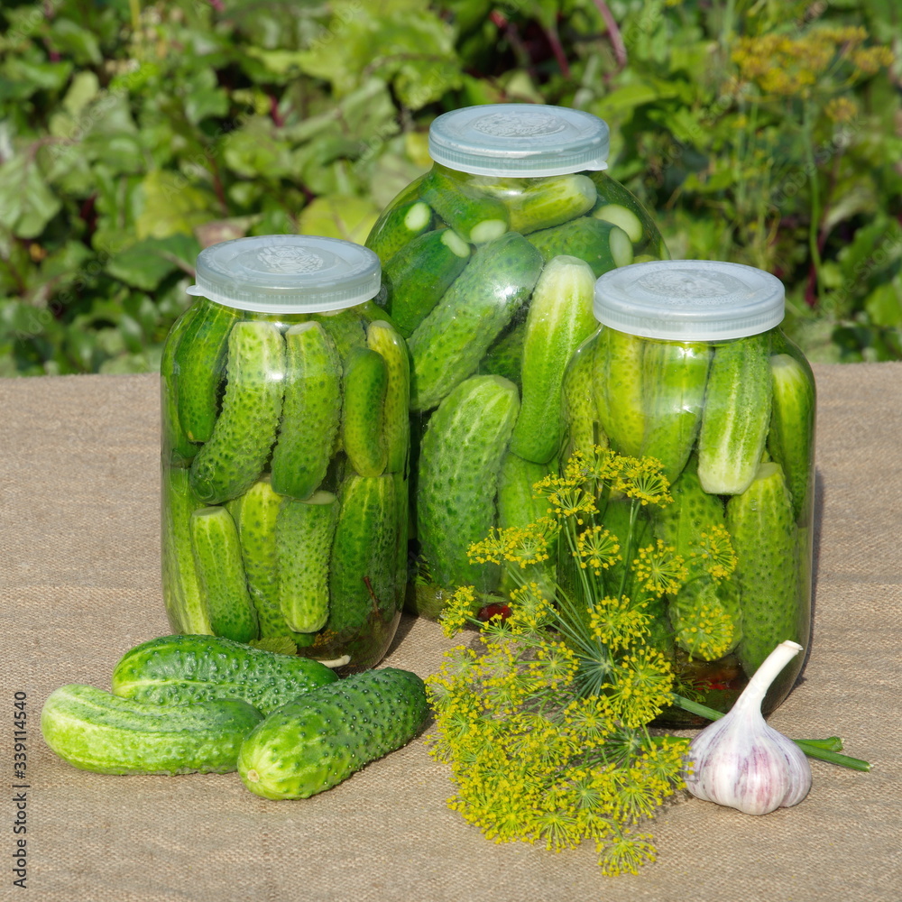 Home canning of cucumbers. Jars of pickles cucumbers on the table in the garden Home canning of cucumbers. Jars of pickles cucumbers on the table in the garden