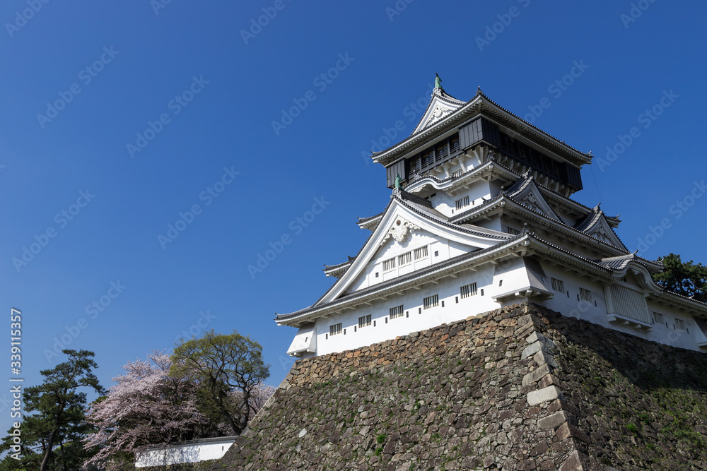 小倉城と桜の風景 小倉城と桜の風景
