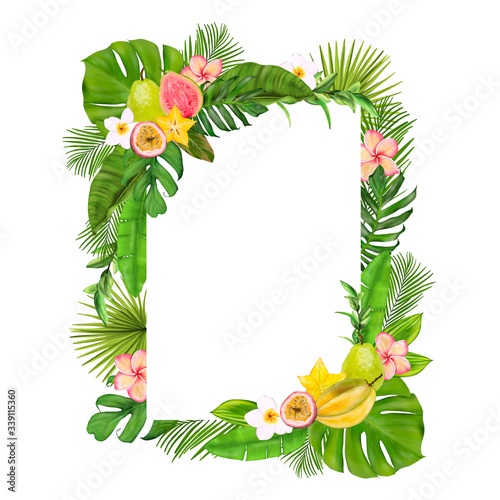 Exotic Frames With Tropical Fruits, Flowers, Leaves
