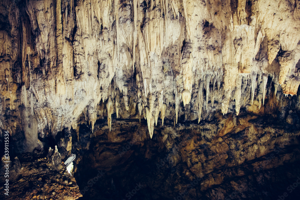 Baraceve Spilje, Croatia.  A cave that has the remains of an ancient bear.