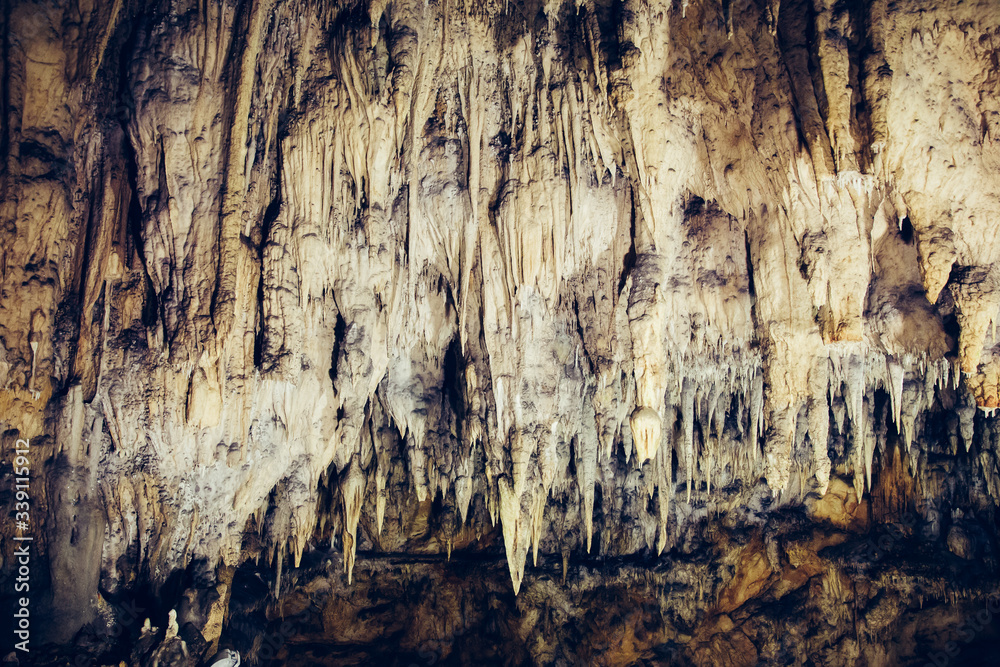 Baraceve Spilje, Croatia.  A cave that has the remains of an ancient bear.