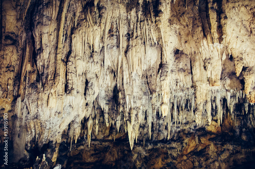 Baraceve Spilje, Croatia. A cave that has the remains of an ancient bear.
