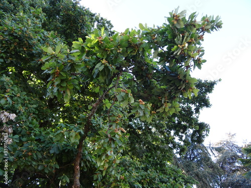 Rennes is a beautiful city in Brittany, France