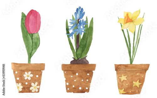 Watercolor potted flowers isolated on white background. Illustration of spring hyacinth, tulip, daffodil or narcisse in brown clay pot with cute ornaments: dots, flowers, stars. Clip art.