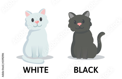 Words white and black textcard with two cartoon cats characters. Opposite adjectives explanation card. Flat vector illustration, isolated on white background.