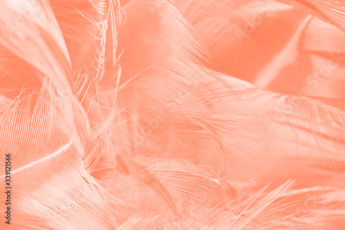 Beautiful orange-white colors trend feather texture background,pastel trends color