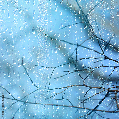 rain window autumn park branches leaves yellow / abstract autumn background, landscape in a rainy window, weather October rain