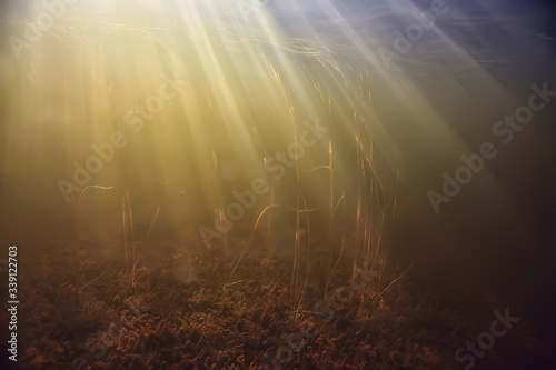 rays of light underwater fresh lake  abstract background nature landscape sun water
