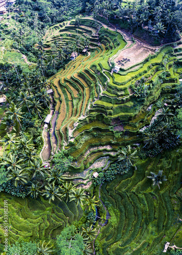 Drone view of the famous rice terraces, Bali