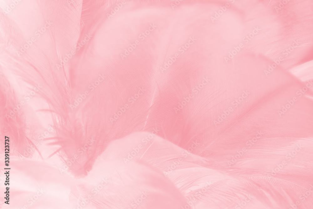 Beautiful light pink feather pattern texture background