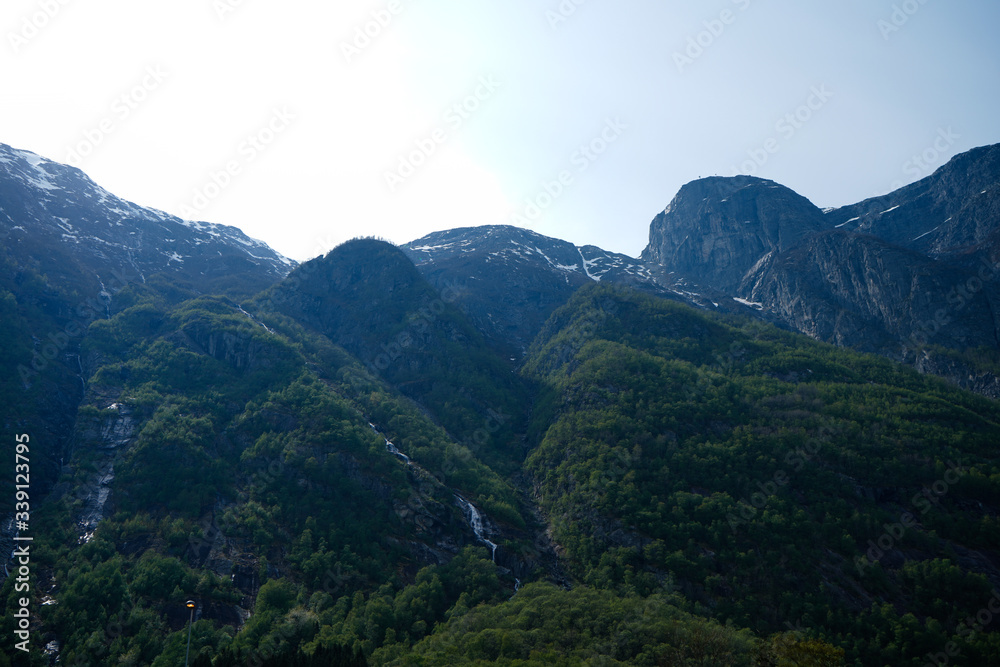 Mountain with forest in Norway.