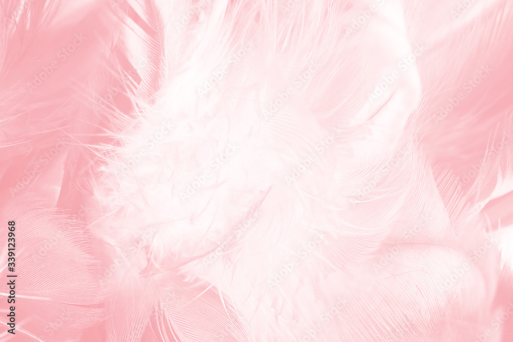 Fototapeta premium Beautiful light pink feather pattern texture background