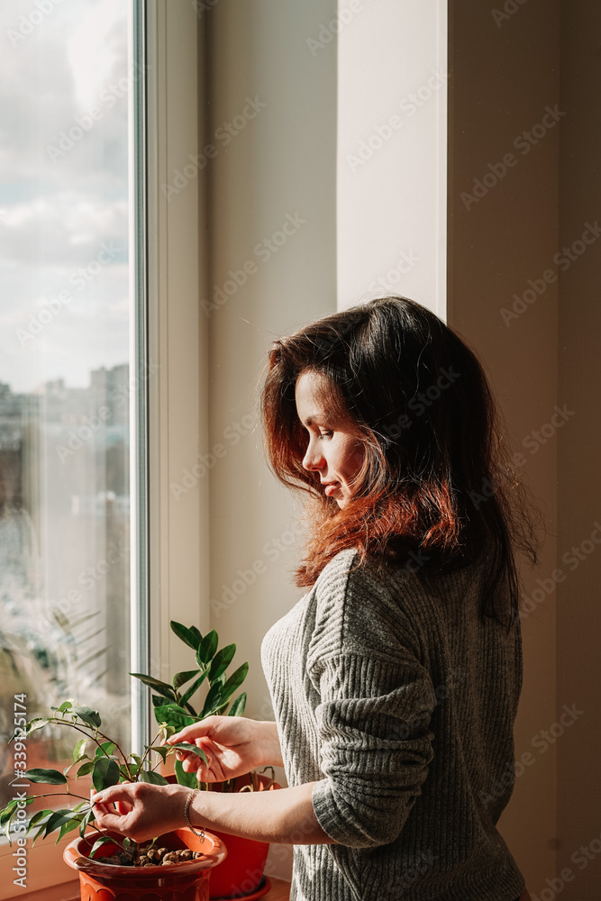 A brunette girl with long hair and a homemade gray sweater stands against an empty wall next to the window and touches a homemade green plant zamiokulkas A brunette girl with long hair and a homemade gray sweater stands against an empty wall next to the window and touches a homemade green plant zamiokulkas