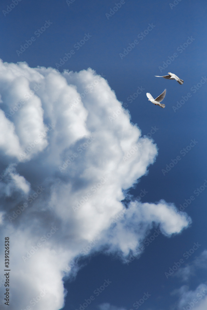 Fototapeta premium Cloud in fist shape in sky with pigeons