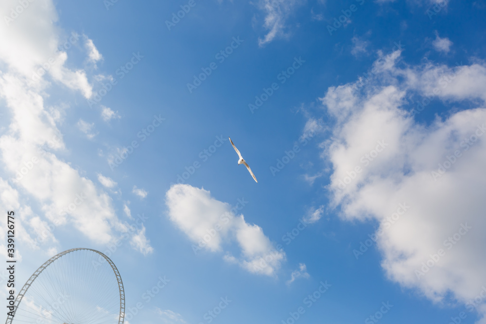 Fototapeta premium blue sky with cloud closeup