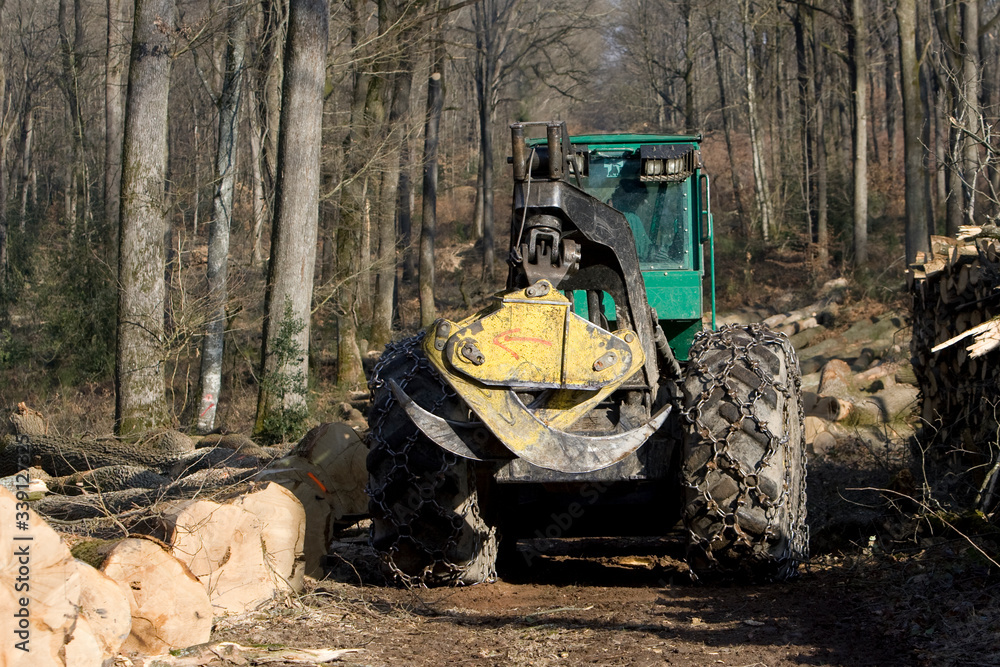 Fototapeta premium Travaux forestier, débardage et bucheronnage