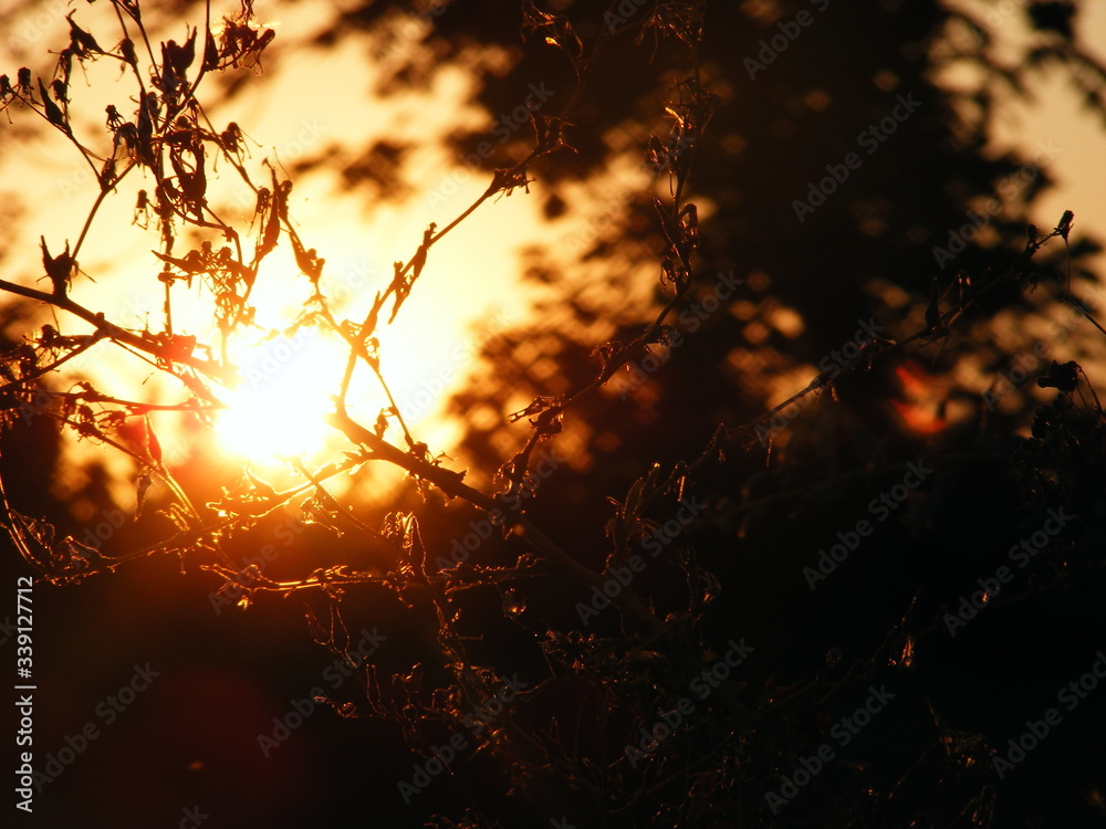 Sunset Sunset