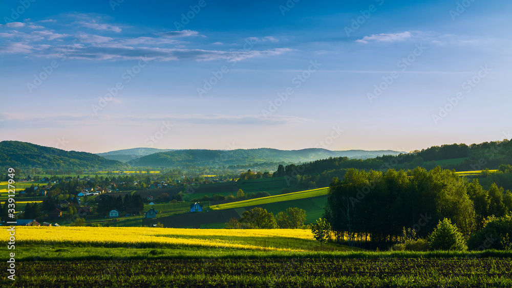 Fototapeta premium landscape in the mountains with blooming rapeseed