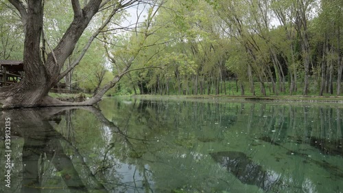 un giro al parco del grassano photo