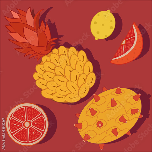 Fototapeta Naklejka Na Ścianę i Meble -  Pineapple, grapefruit, lemon. Fruits illustration.