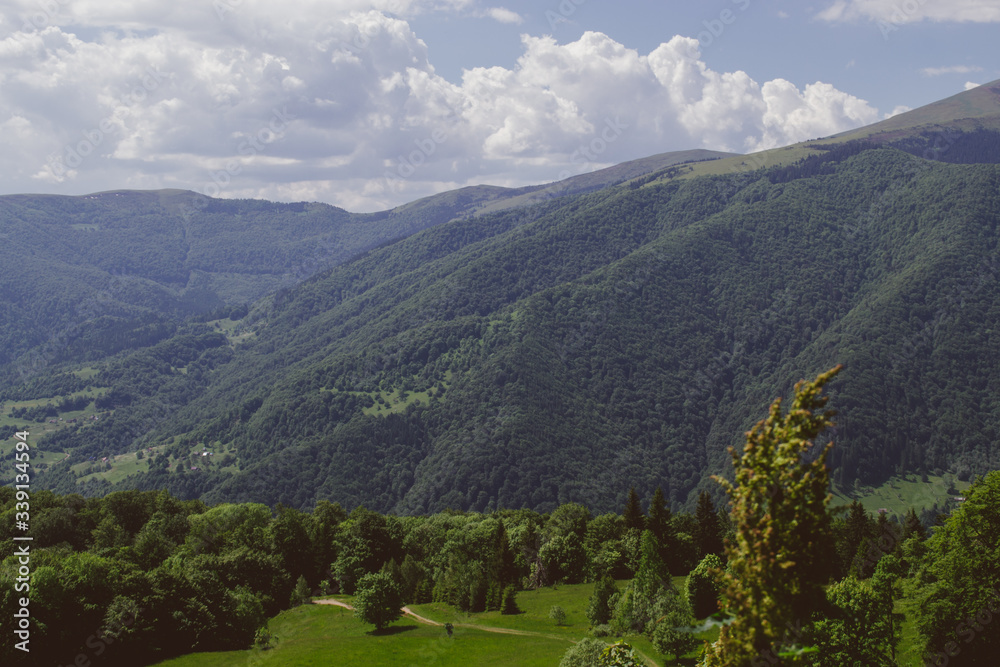 beautiful view of the forest, mountains and clouds with a tonal perspective in summer	