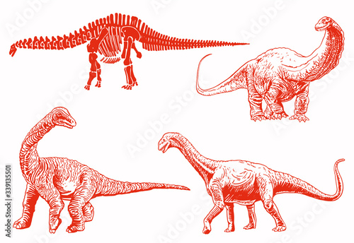 Graphical color set of dinosaurs, red diplodocuses isolated on white background,vector illustration