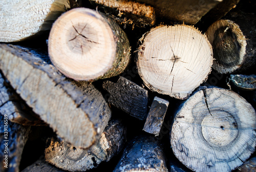 Dry chopped logs lie in a heap.