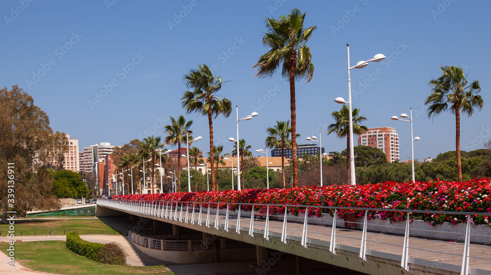 Obraz premium Flowers bridge, Valencia, Spain