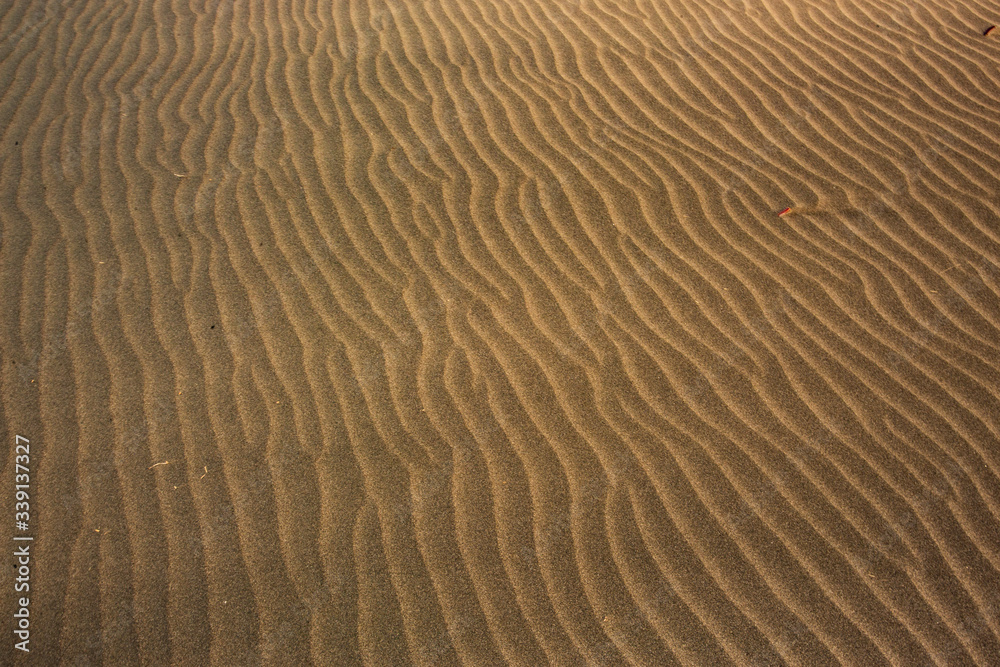 Sand dunes on Piha Beach, New Zealand Sand dunes on Piha Beach, New Zealand