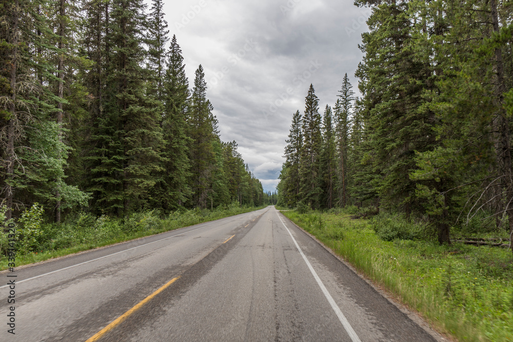 Spectacular road landscapes that run through pine forests and high mountains, Canadian roads with the yellow lines
