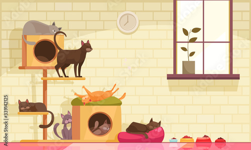 Cats Cradles Domestic Composition