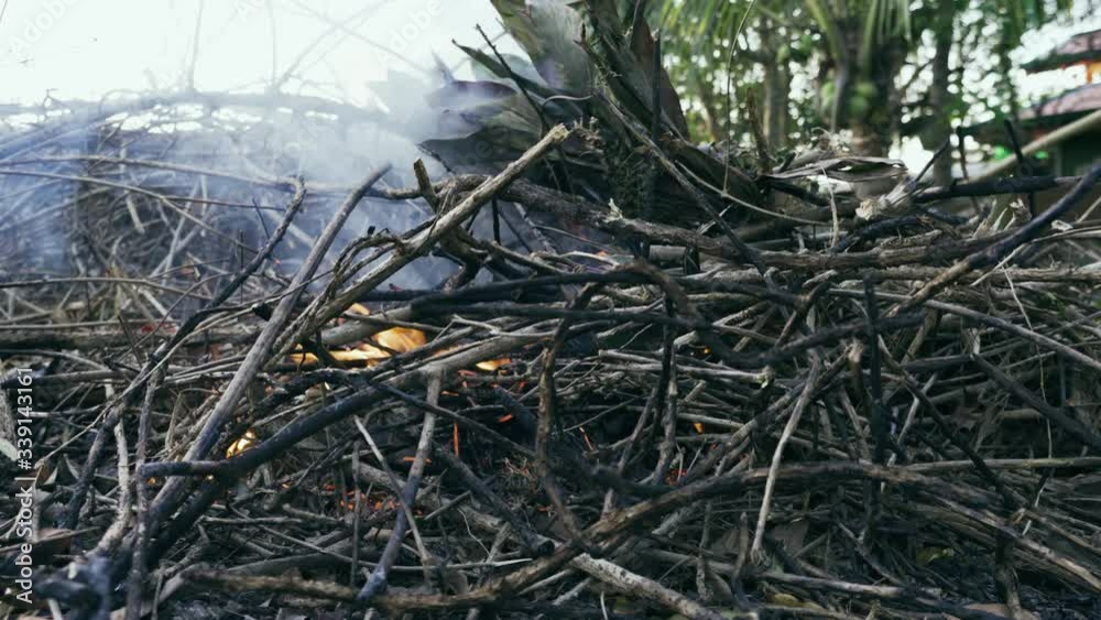 Burning of dried dead leaves and branches Burning of dried dead leaves and branches