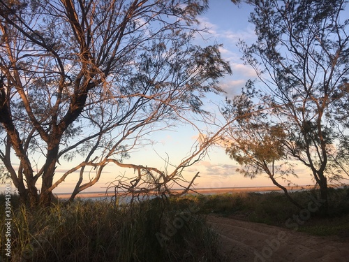 Wallpaper Mural Path Torontodigital.ca