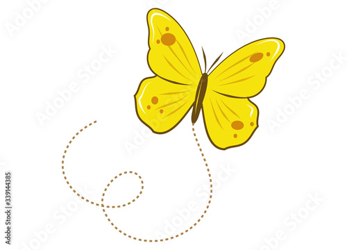 Zitronenfalter Schmetterling tanzt durch die Luft