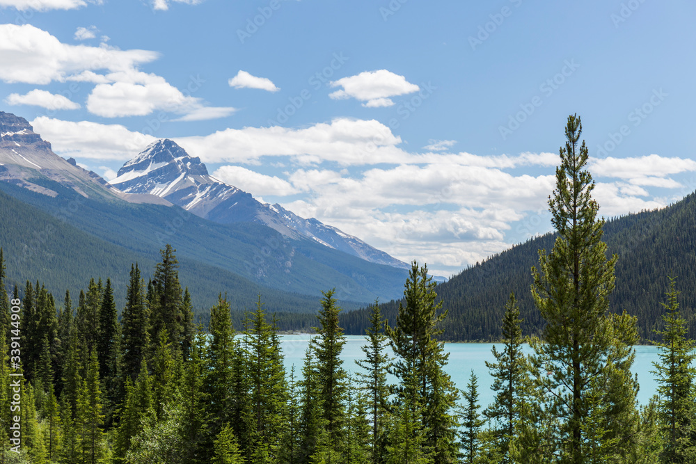 turquoise water lake in the middle of a forest with tall trees and huge mountains, during the summer in Canada