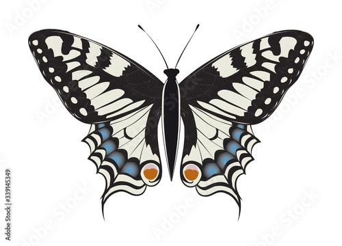 handgezeichneter Schwalbenschwanz Schmetterling