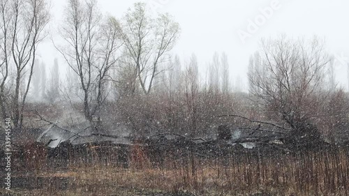 Wallpaper Mural wet snow extinguishes spring fire Torontodigital.ca