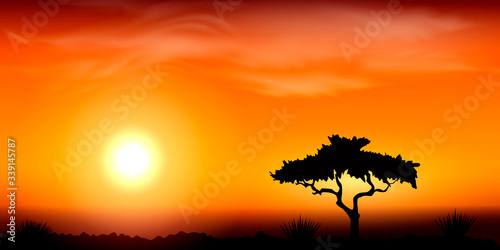 Sunset in Africa, savanna landscape vector illustration. © wonderyusya