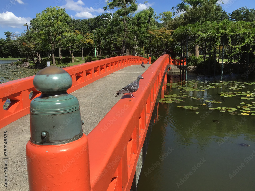 Pigeon on the bridge in Tennogawa Park Pigeon on the bridge in Tennogawa Park
