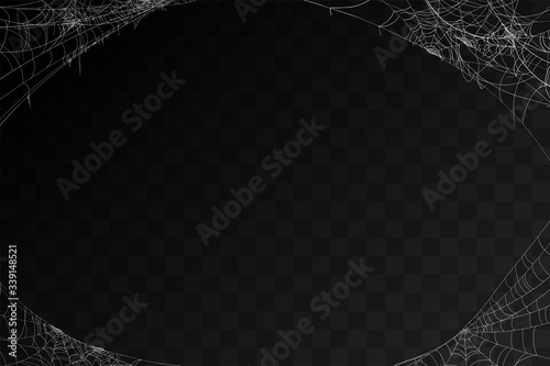 Fotografia Vector realistic set of siderweb or cobweb, isolated on black, transparent background