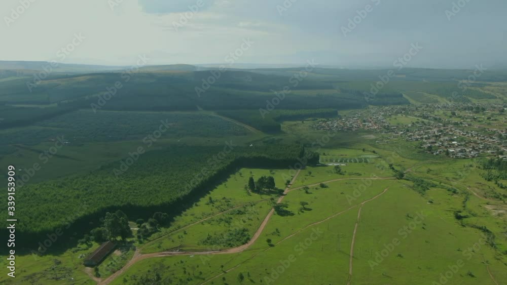 High aerial approaching drone view of dense green tree forest and horizon, South Africa High aerial approaching drone view of dense green tree forest and horizon, South Africa